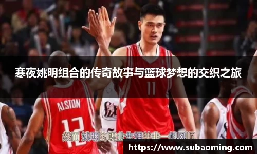 寒夜姚明组合的传奇故事与篮球梦想的交织之旅