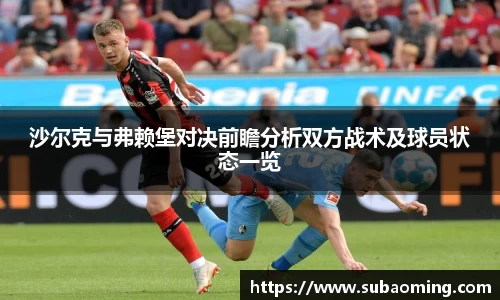 沙尔克与弗赖堡对决前瞻分析双方战术及球员状态一览
