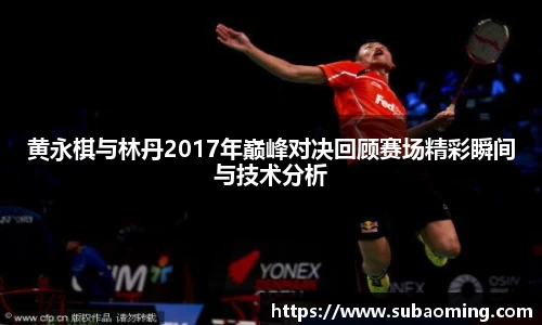黄永棋与林丹2017年巅峰对决回顾赛场精彩瞬间与技术分析